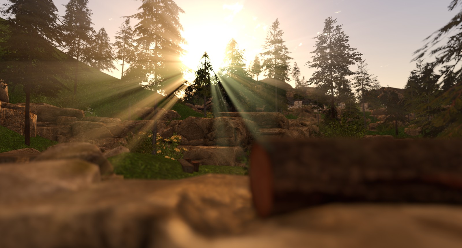 With sun shafts: rays of light stream through the trees towards the camera